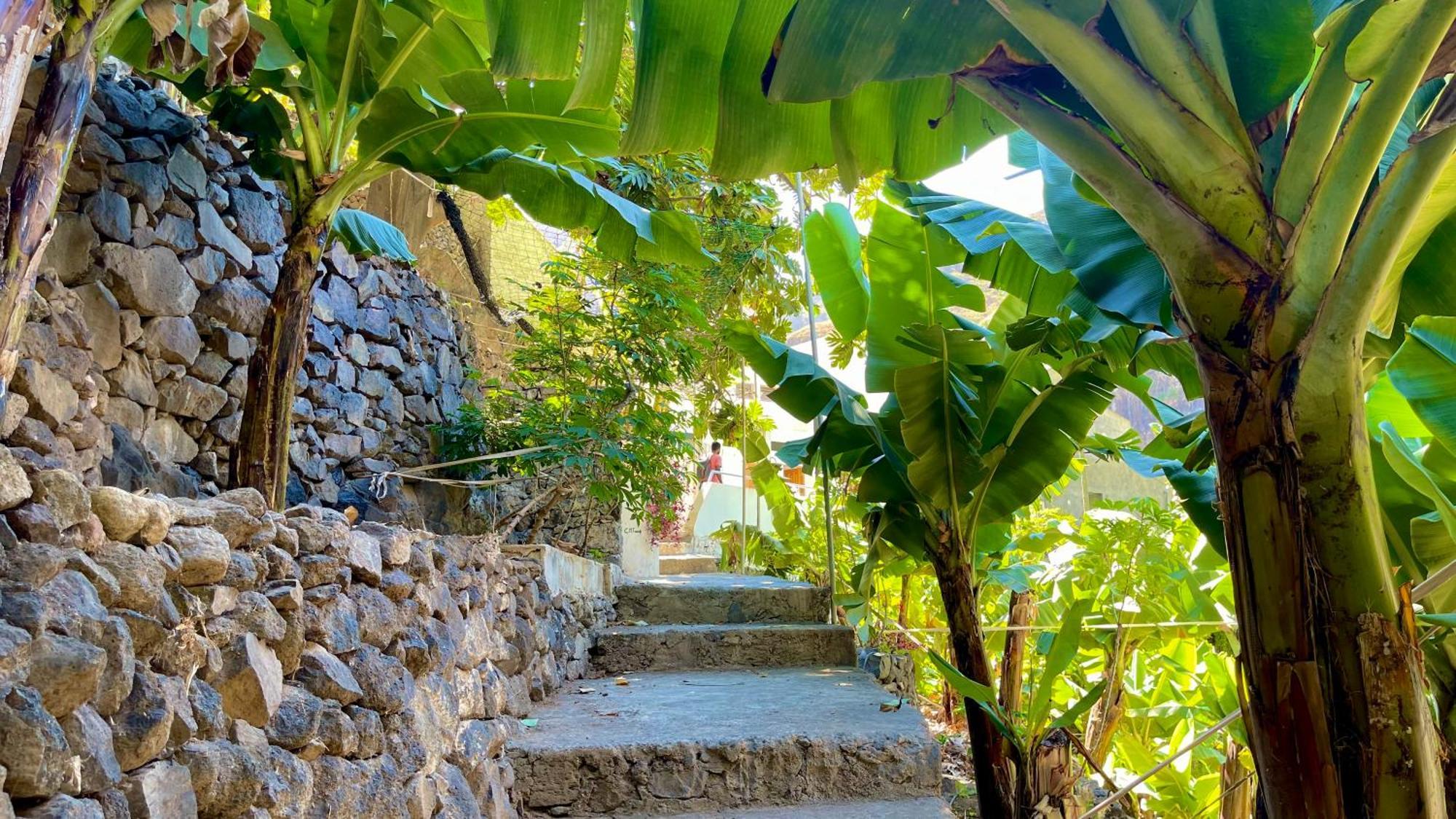 Casa Minga & Tatol Villa Ribeira Grande Bagian luar foto